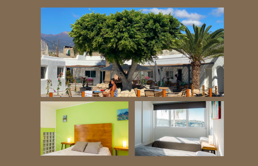 The Tree House Hostel
